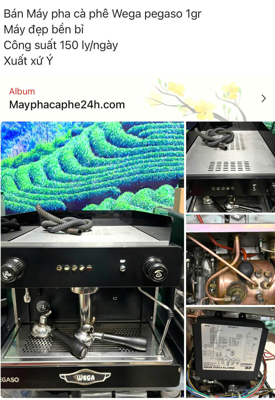 Máy pha cà phê, máy pha cà phê cũ