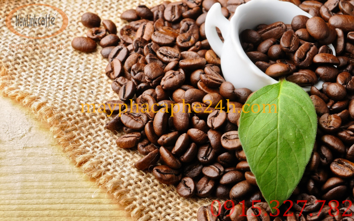 Newlink Cafe pha máy 