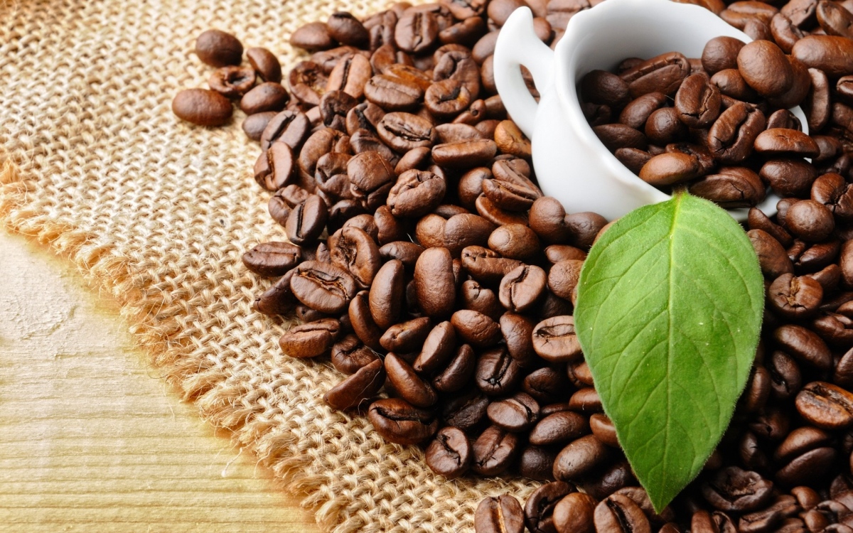 Ở Việt Nam có bao nhiêu loại cà phê?